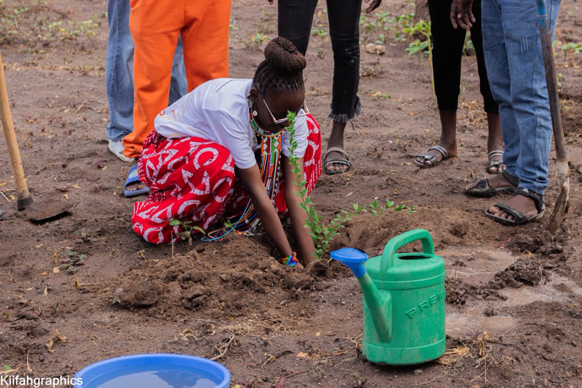 sndbxubuntu's tweet image. In celebration of Mazingira Day 2025, the SNDBX Ubuntu Turkana team joined hands with the local community and partners for a meaningful tree-planting exercise in Kakuma and Kalobeyei.

#MazingiraDay2025 #Environment #CommunityImpact #treeplanting #Turkana #SustainabilityInAction