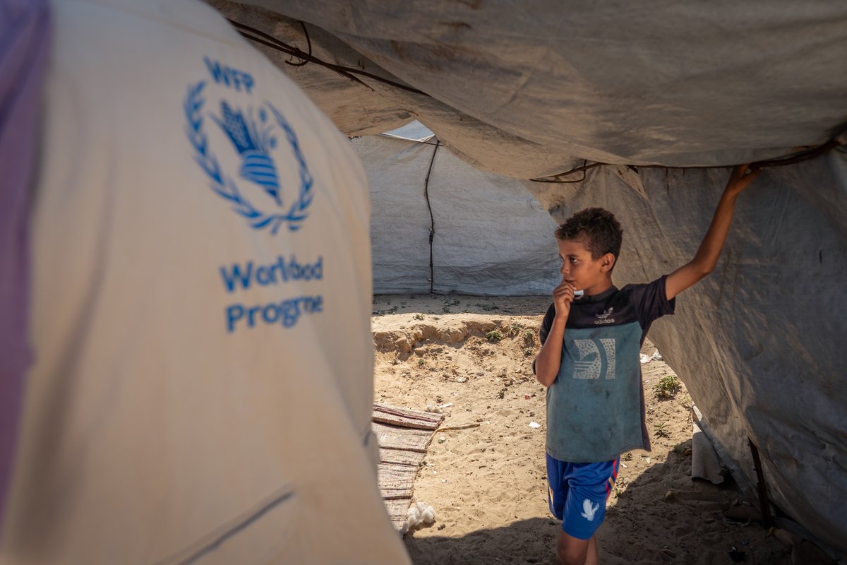 برنامج الأغذية العالمي التابع للأمم المتحدة (@wfp_arabic) on Twitter photo بعد عامين من النزاع المدمر، يمهد اتفاق وقف إطلاق النار الطريق أمام الوكالات الإنسانية للوصول إلى من تم قطعهم عن المساعدات الحيوية في #غزة. 
لا تزال مئات الآلاف من العائلات نازحة. 
الاحتياجات الإنسانية في غزة أصبحت الآن أكبر من أي وقت مضى.
البيان الكامل: tinyurl.com/563m9ydy بعد عامين من النزاع المدمر، يمهد اتفاق وقف إطلاق النار الطريق أمام الوكالات الإنسانية للوصول إلى من تم قطعهم عن المساعدات الحيوية في #غزة. 
لا تزال مئات الآلاف من العائلات نازحة. 
الاحتياجات الإنسانية في غزة أصبحت الآن أكبر من أي وقت مضى.
البيان الكامل: tinyurl.com/563m9ydy