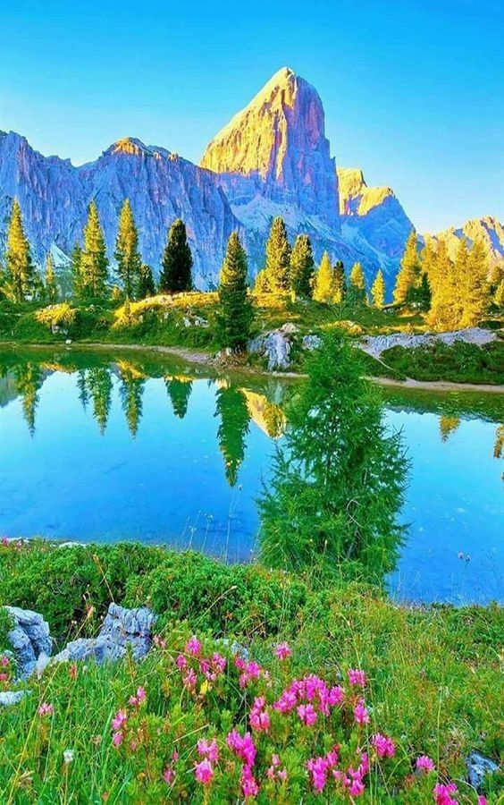 Out Door Nature (@magical_place2) on Twitter photo 
