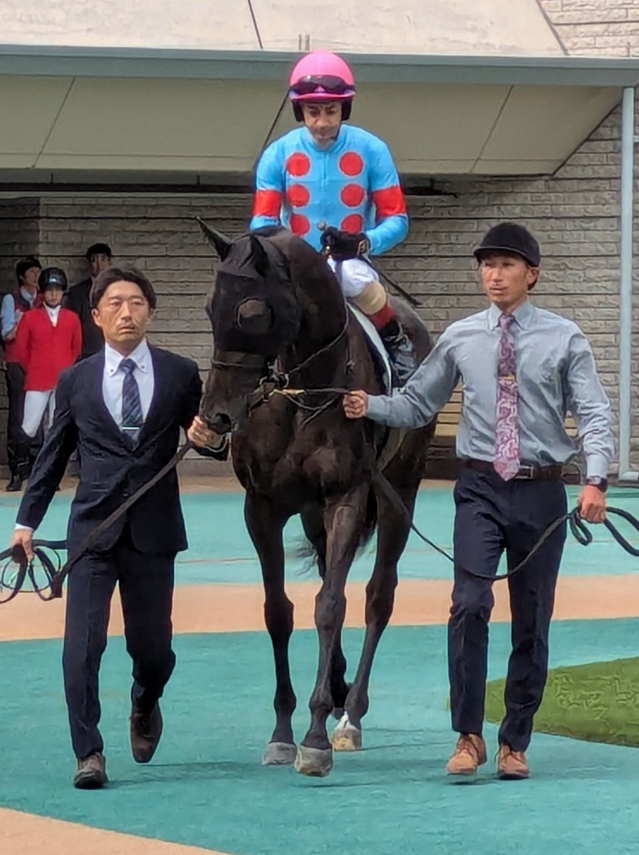 umaumatomtomzz's tweet image. #イクシード 観てきた( ・ω・)ﾉ

明日は #シルブロン でウィナーズサークルに入りたいぞ！（願望🙏）
#silkhc
#東京競馬場