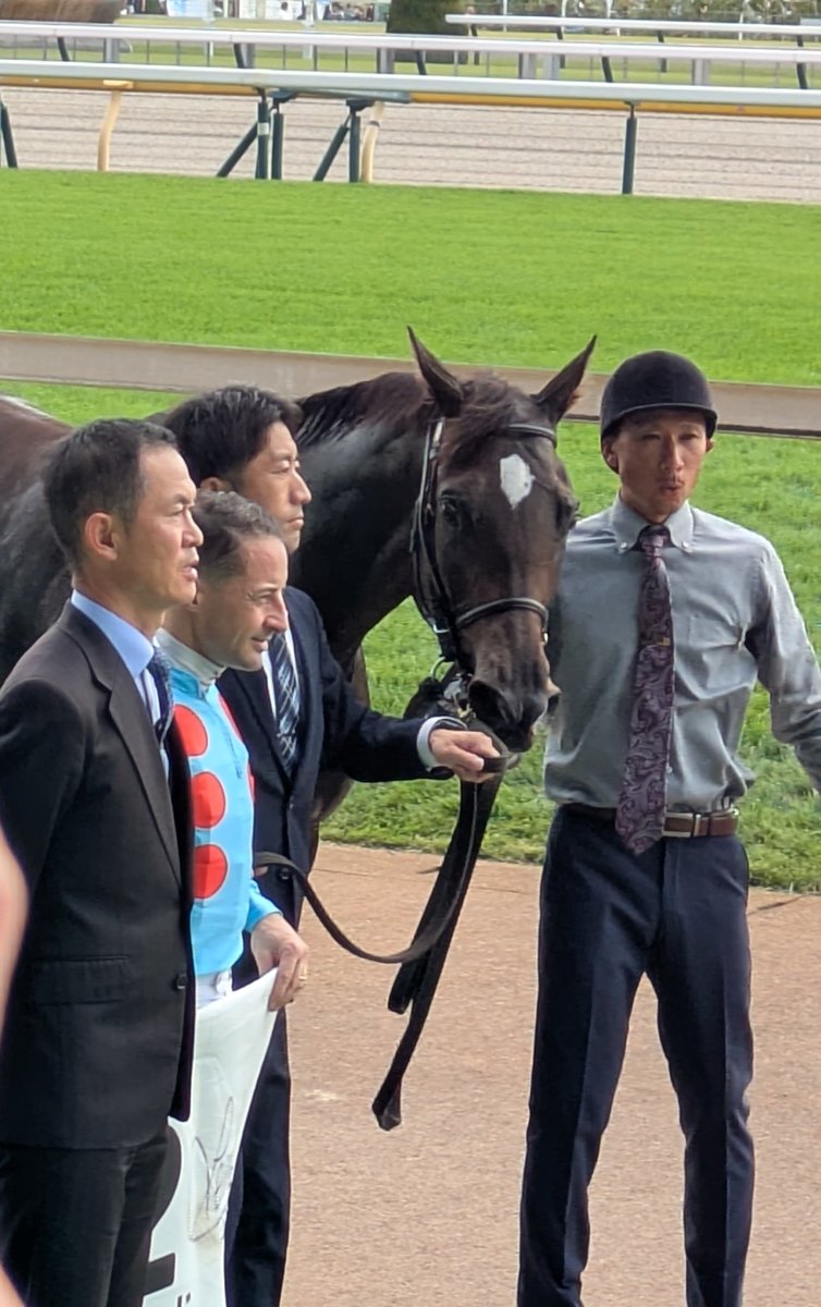 umaumatomtomzz's tweet image. #イクシード 観てきた( ・ω・)ﾉ

明日は #シルブロン でウィナーズサークルに入りたいぞ！（願望🙏）
#silkhc
#東京競馬場