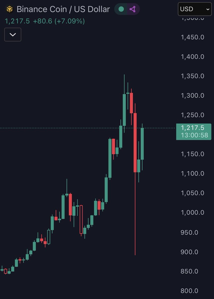 BNB 价格图，显示闪崩后迅速回升