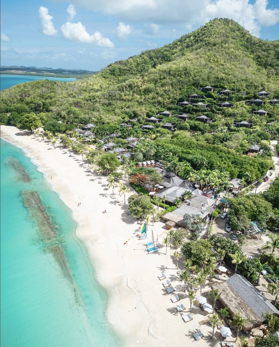 Le Petit Monde tweet media