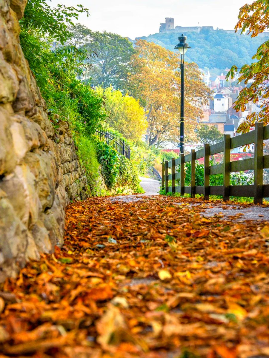 Scarborough 🍂