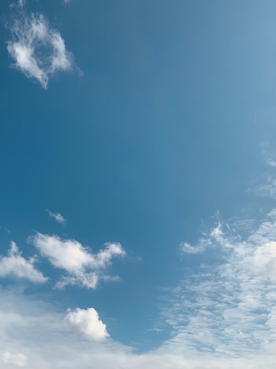「心集い -秋-」
ご来場ありがとうございました

今日の歌は、
黄色い青空のような歌だったかな
10月はついついそういう歌になります

また冬に、会いましょう

#ココロツドイ