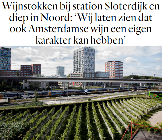De Groenen Basis Piraten Amsterdam Nieuw-West tweet media