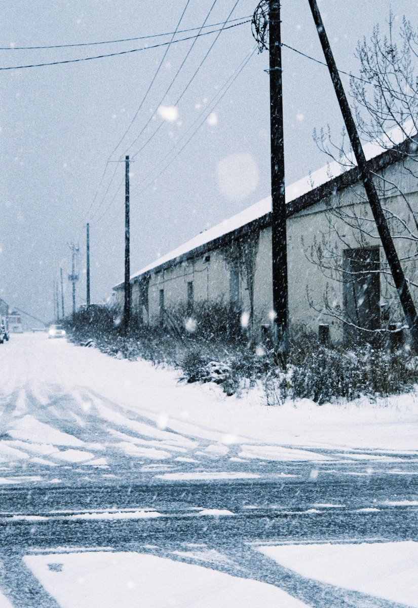 ametosai's tweet image. 