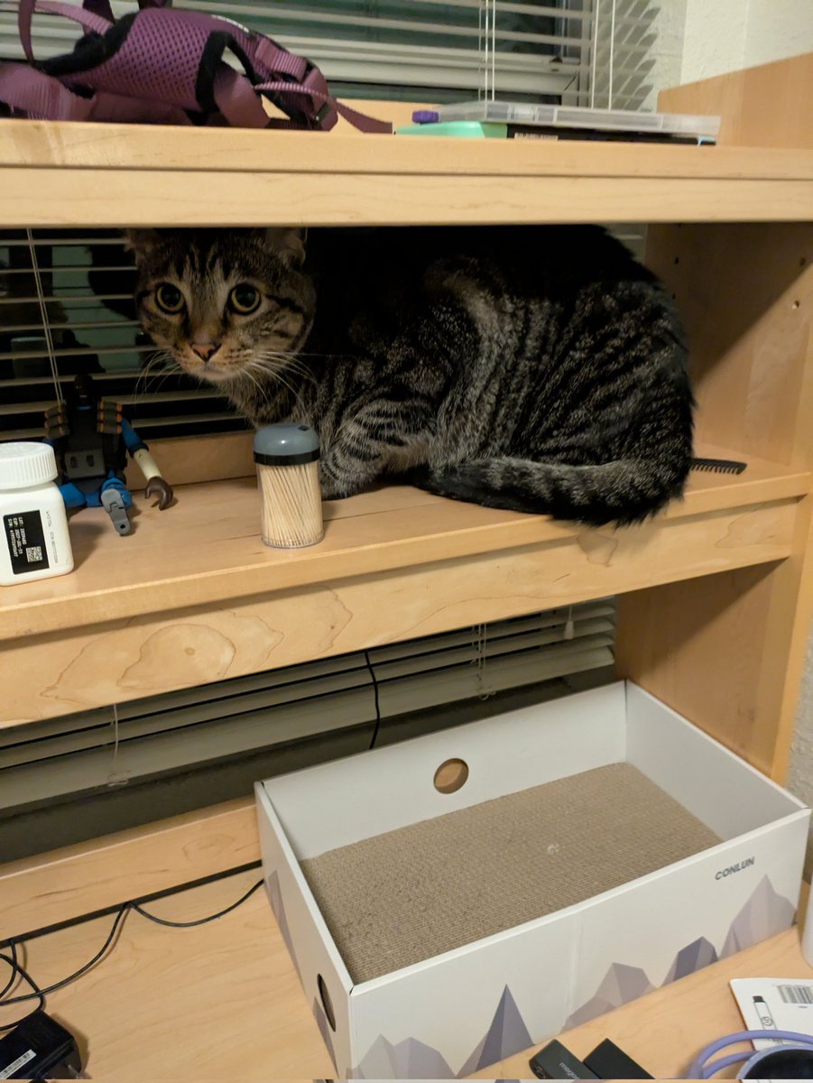 REFUSERADIO's tweet image. I PUT YOUR BED THERE FOR A REASON