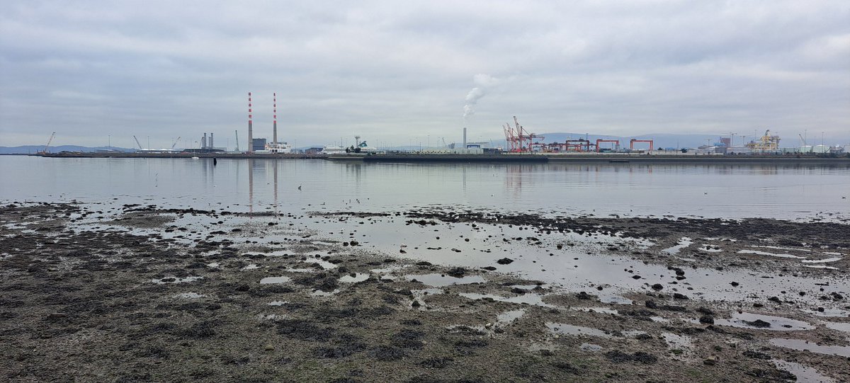 Midday, mild...
#Clontarf #DublinBayArea