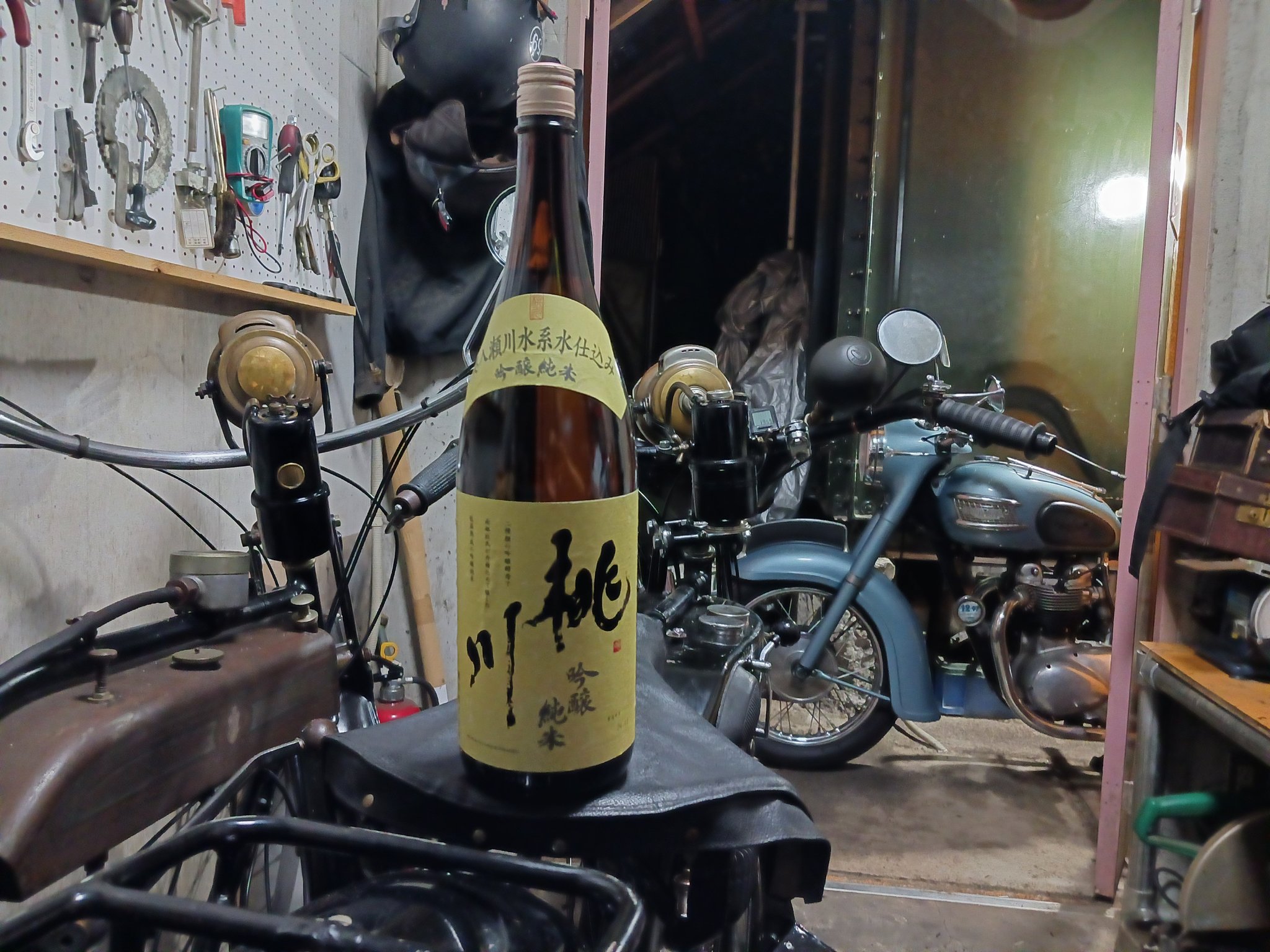 masa (@nortonridermasa) / X