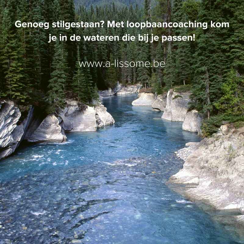 AliesQuaegebeur's tweet image. Blijf je dobberen? 🌊

Met #Loopbaancoaching vaar je naar wateren die écht bij je passen! 🚤

#GeefVleugelsAanJeLoopbaan