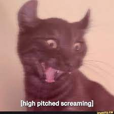 Bast Amonsareph🐈‍⬛🌊 tweet media