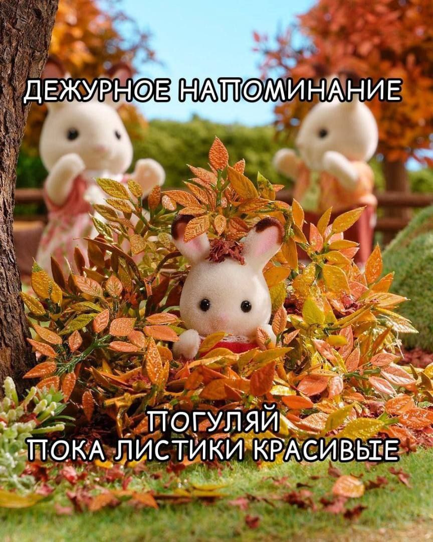 DantesDmitriy's tweet image. 