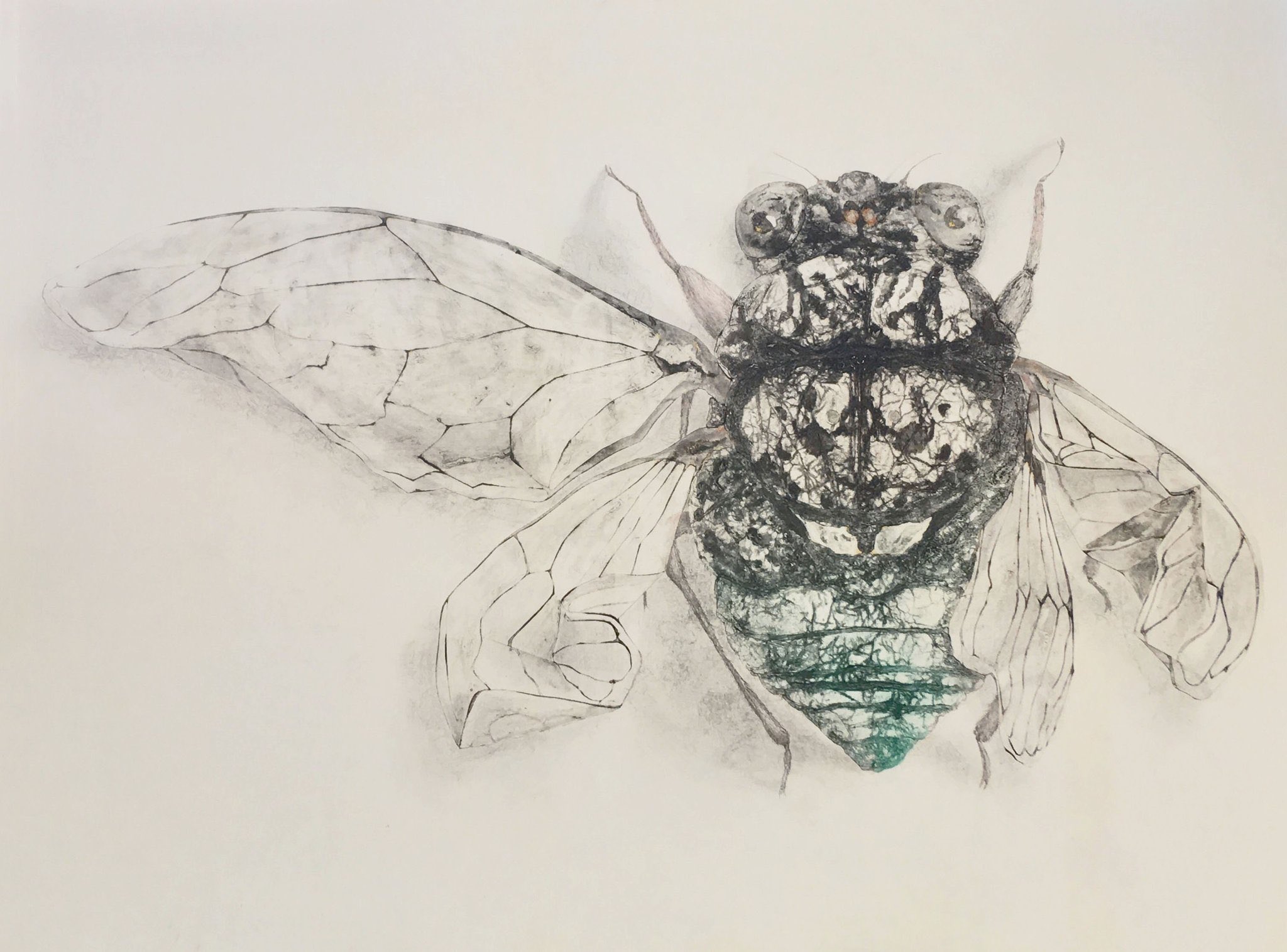 【原画】『人は芥虫、芥虫』(ひとはごみむし、あくたむし 原画】『人は芥虫、芥虫』(ひとはごみむし、あくたむし 芥の虫 : 【