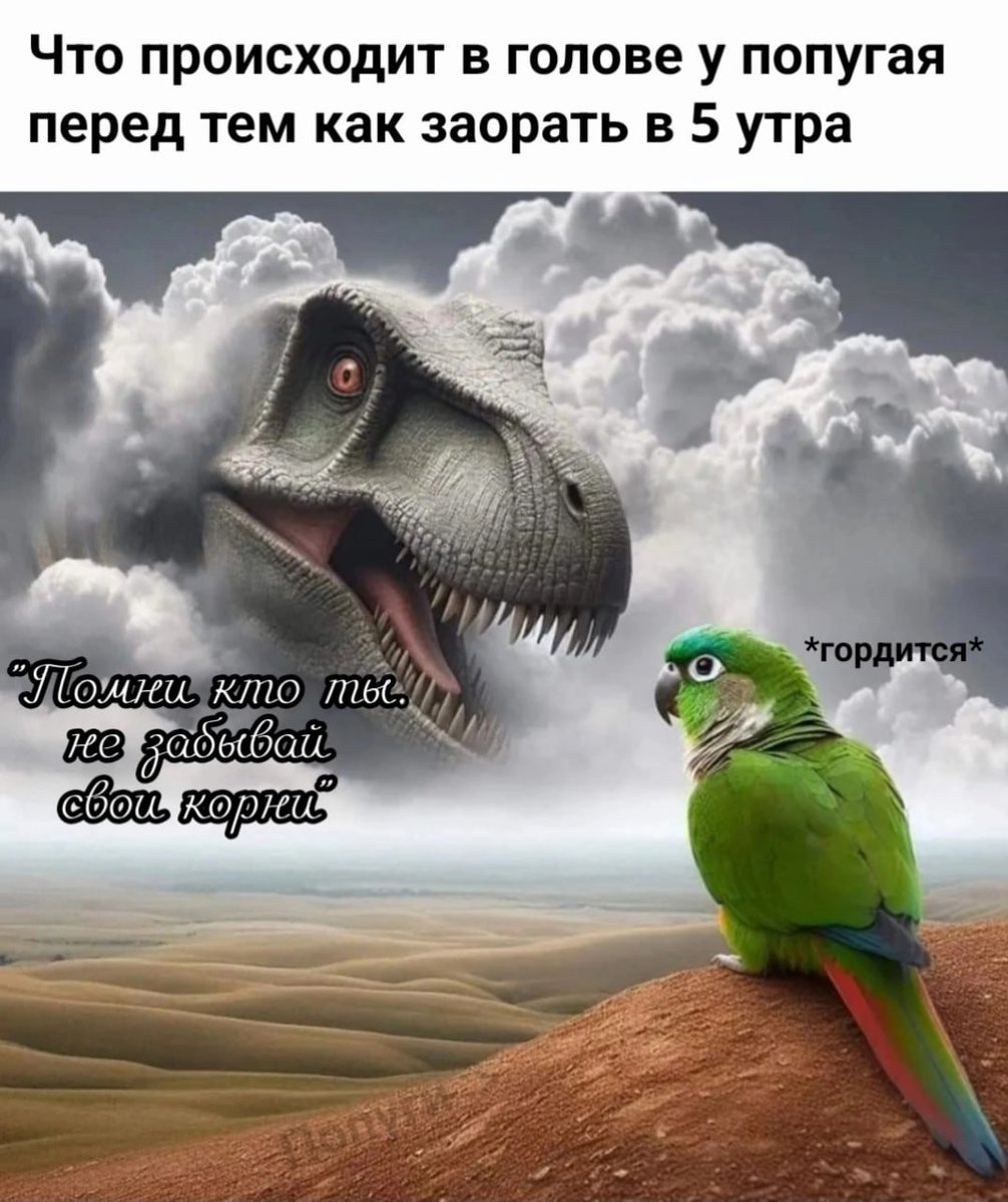 DantesDmitriy's tweet image. 
