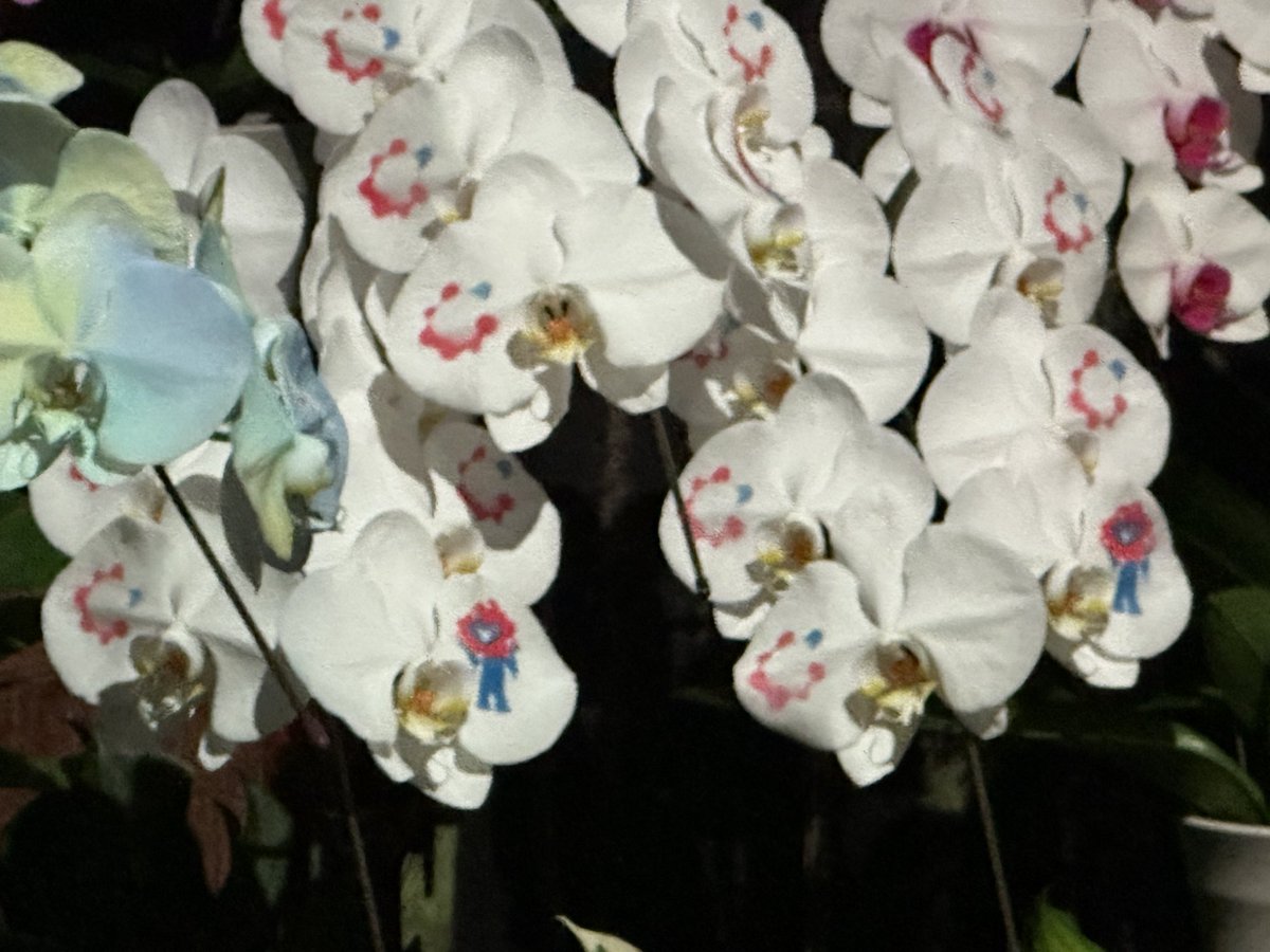 tatemeoyaji's tweet image. 花びらの中にミャクミャク
#台湾パビリオン
#TECHWORLD
#大阪・関西万博