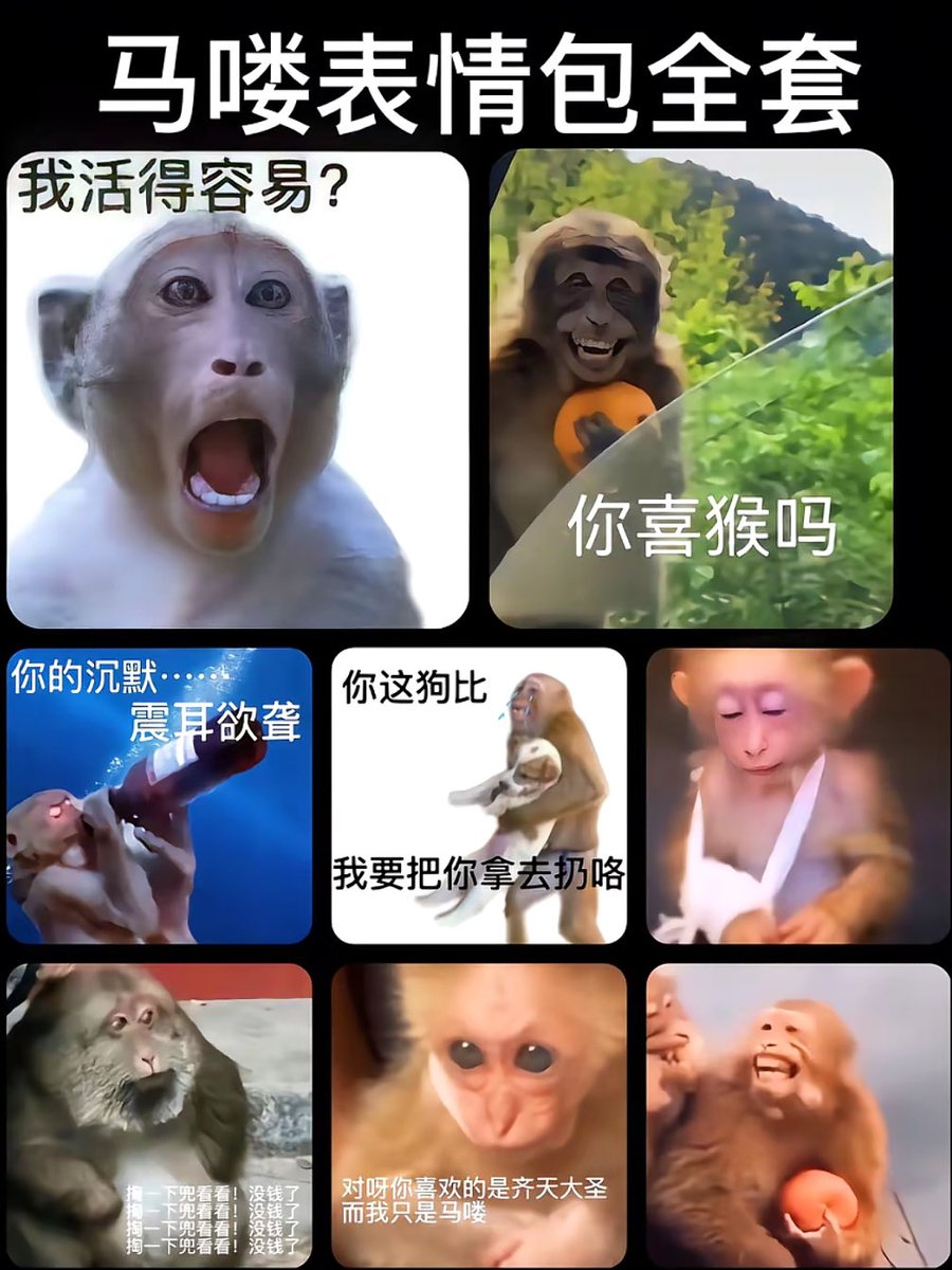 #马喽 生活中我们人人都是马喽🐒