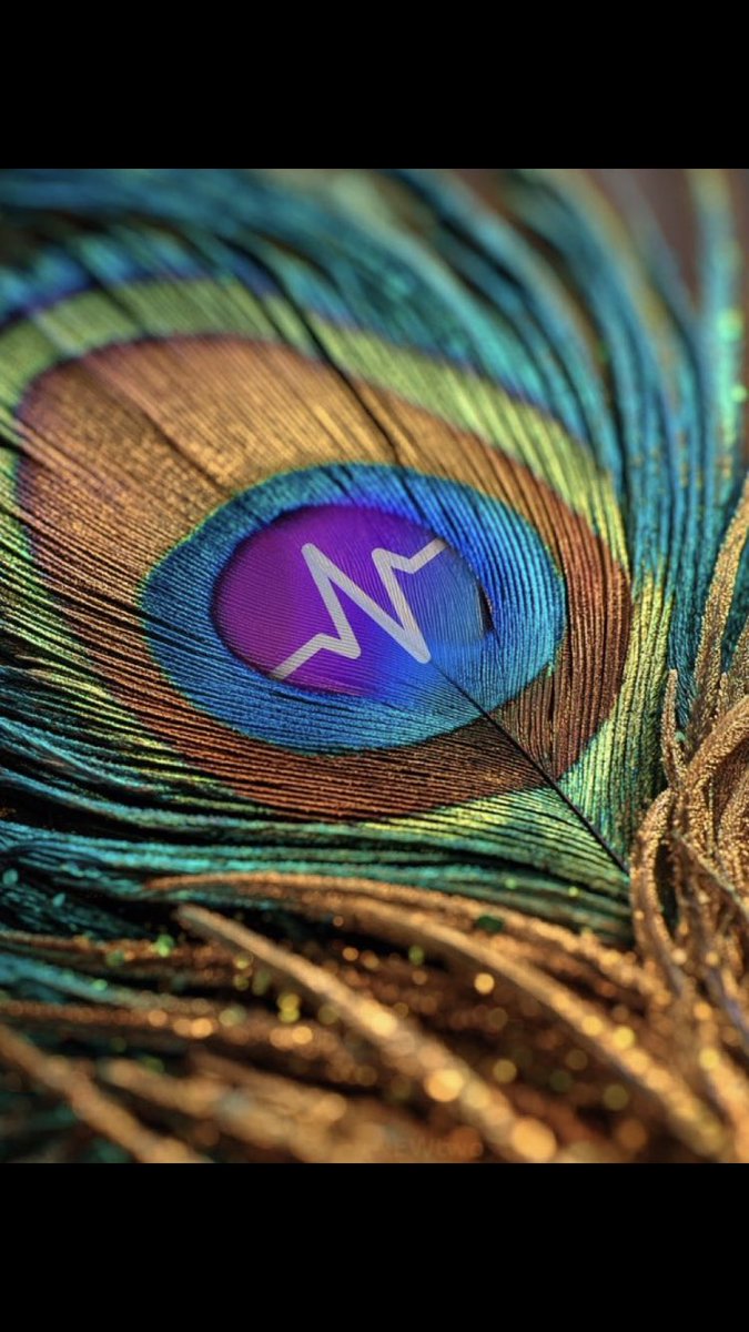 KingArthur747's tweet image. $PCOCK event horizon 

#pulsechain