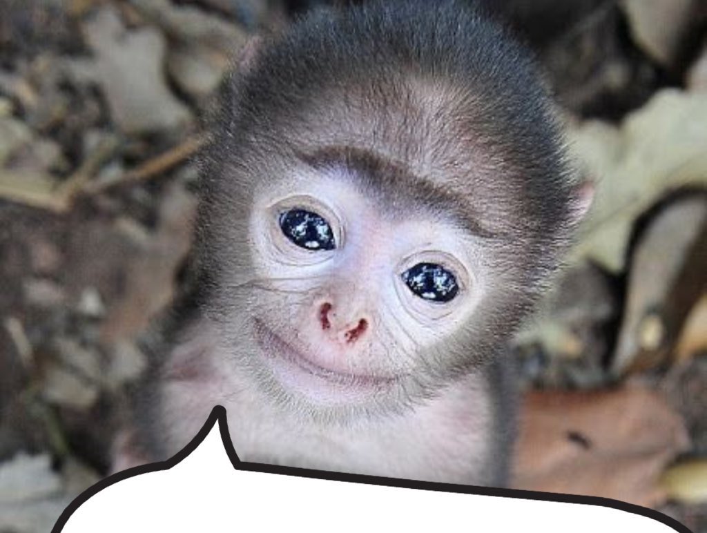 siIIymonkey's tweet image. 