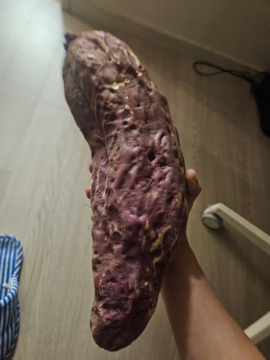 고구마크기 볼사람 이렇게큰거처음
보자마자 트위터생각나서 실시간으로찍음