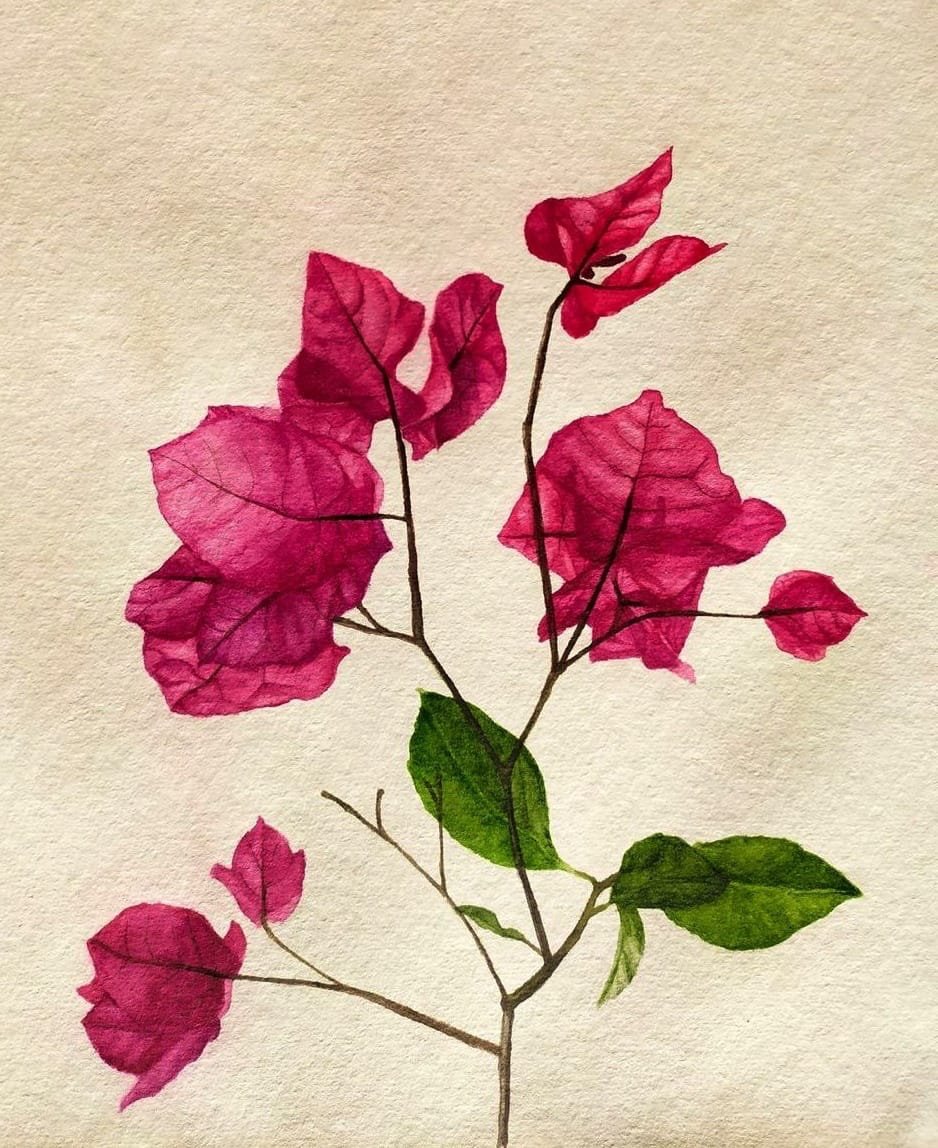 harshdeeprapal's tweet image. Got about 40+ requests. 

I&apos;ll be sending out 10 cards on first-come-first-serve basis. For the rest, I assure I&apos;ll send out book-mark packs and cards I make from now on till new year. 

What a wonderful Sunday afternoon!

Thank You!
Love &amp;amp; Peace 🧡