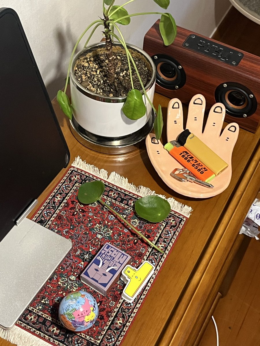 고양이가 우주를 구한다