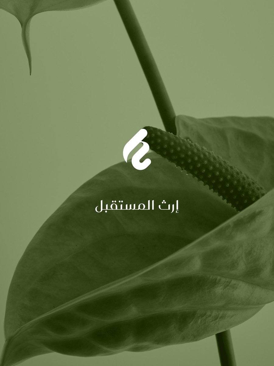 الحديقة المركزية في #مدينة_السلطان_هيثم،
حديقة طبيعية نابضة بالحياة، تمنح الجميع الراحة وسهولة الوصول وشغف الاكتشاف. 🌿✨

تصميم متكامل يجعلها قلب المدينة النابض ومتنفسها الأخضر.
#إرث_المستقبل