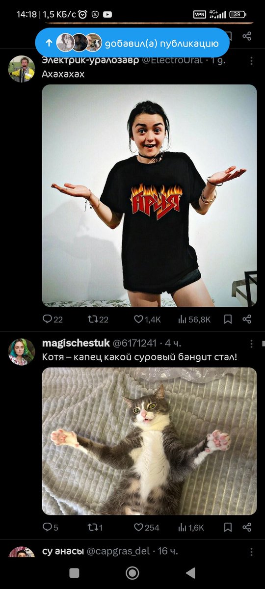 Лись tweet media
