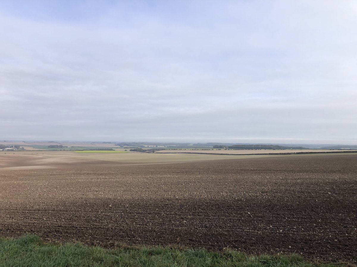 RealIanBrown73's tweet photo. Shorter walk today @NationalTrails Newbald to Goomanham #Woldsway https://t.co/K3BRegccvl