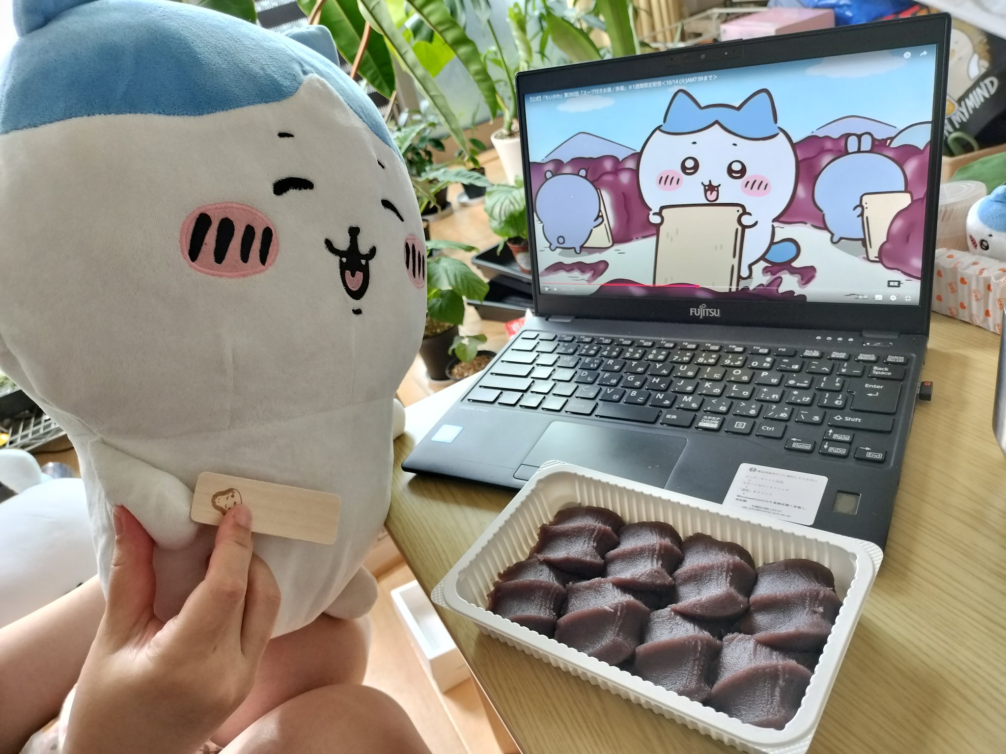 ハセピー (@hase3p) / X