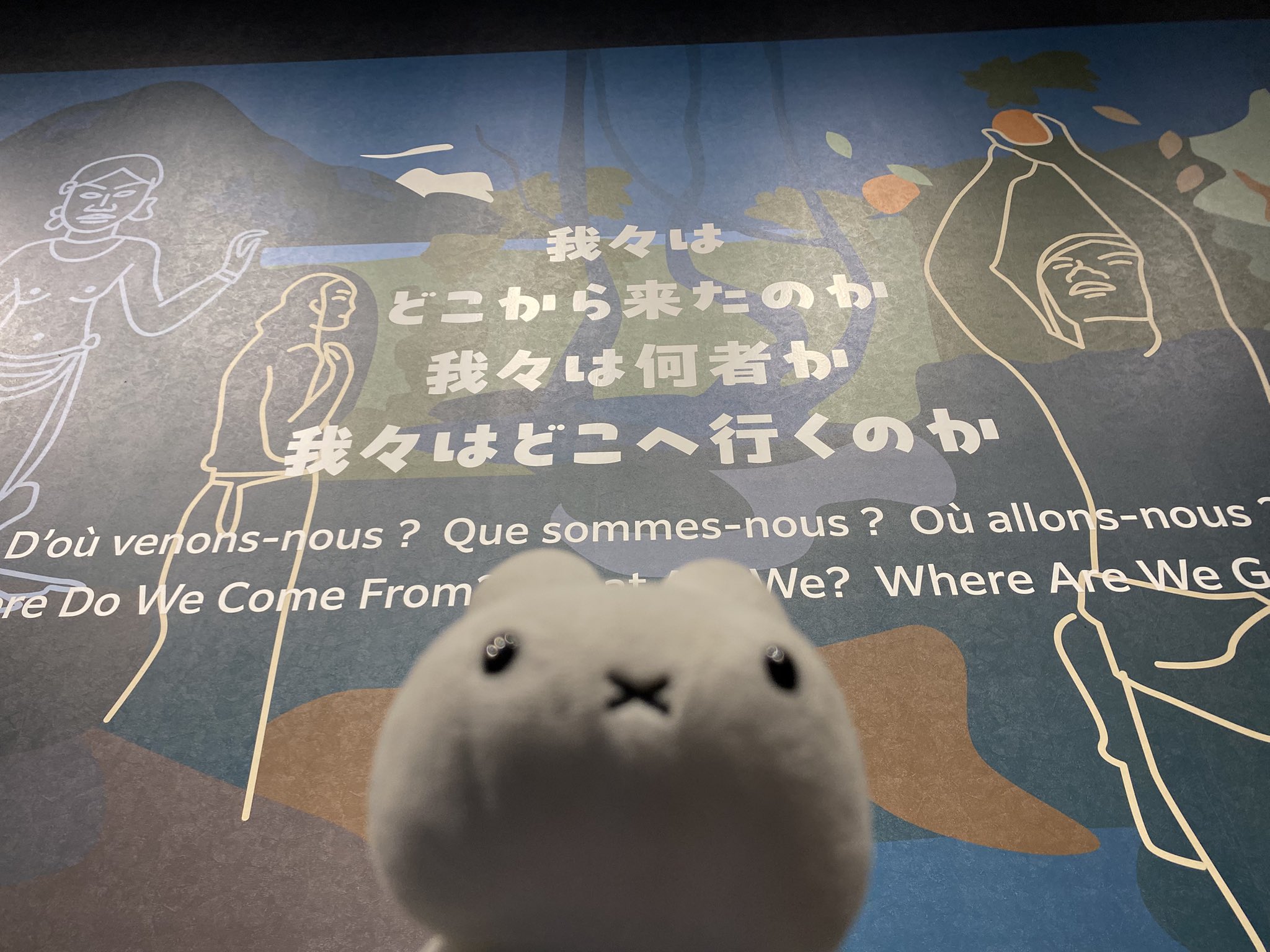 なんの変哲のないうさぎ なんの変哲のないうさぎ 世にも不思議なウサギさん | P's KOBO 日記