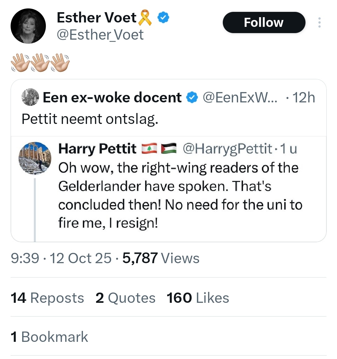 I think cheering on the massacre of babies, medics, journalists, aid seekers (etc.) for two years has left Zionists unable to read sarcasm...