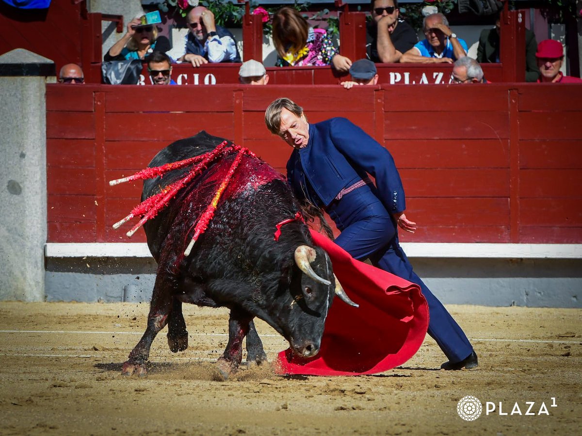 Grego_Garrido's tweet photo. Que naturalidad y que manera de asear los pases con esa pulcritud que siempre le caracterizó, Curro Vázquez torero de Madrid aún que no sea de luces volvió a poner la plaza patas arriba, el toreo de verdad es de agradecer hasta con un eral, ha dado un repaso a 3/4 del escalafón. https://t.co/98EOQuvT5r