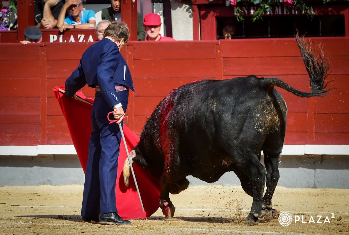 Que naturalidad y que manera de asear los pases con esa pulcritud que siempre le caracterizó, Curro Vázquez torero de Madrid aún que no sea de luces volvió a poner la plaza patas arriba, el toreo de verdad es de agradecer hasta con un eral, ha dado un repaso a 3/4 del escalafón.