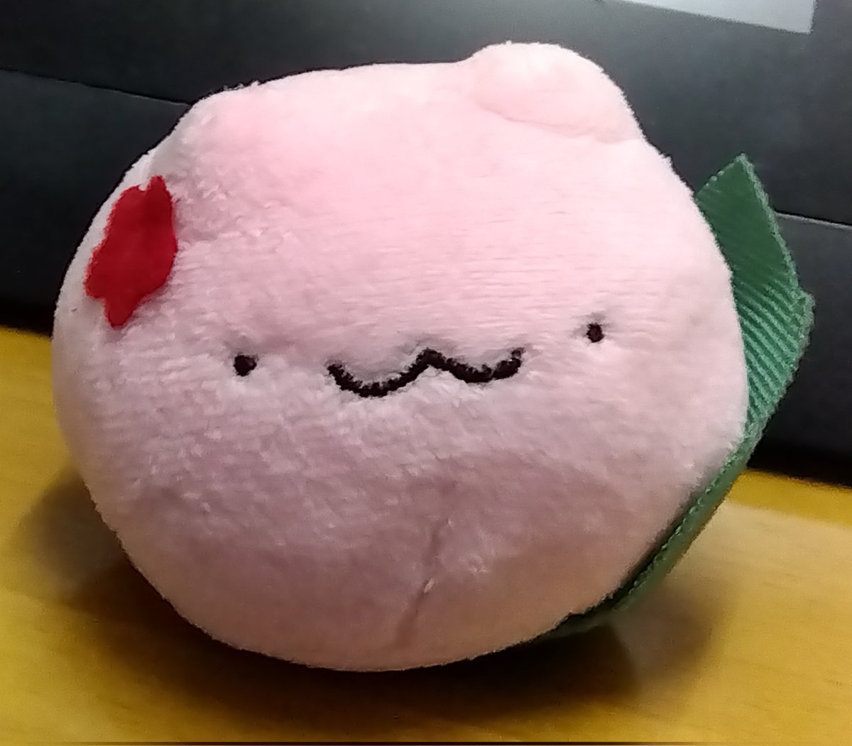 ume36's tweet photo. 元気です！最近はうめのみくんぬいを完成させたりしました　２〜３枚めは１代目の試作のみくんとお花と葉っぱをつける前のプレーンのみくんのツーショット　まるい https://t.co/qPuze8ykzJ