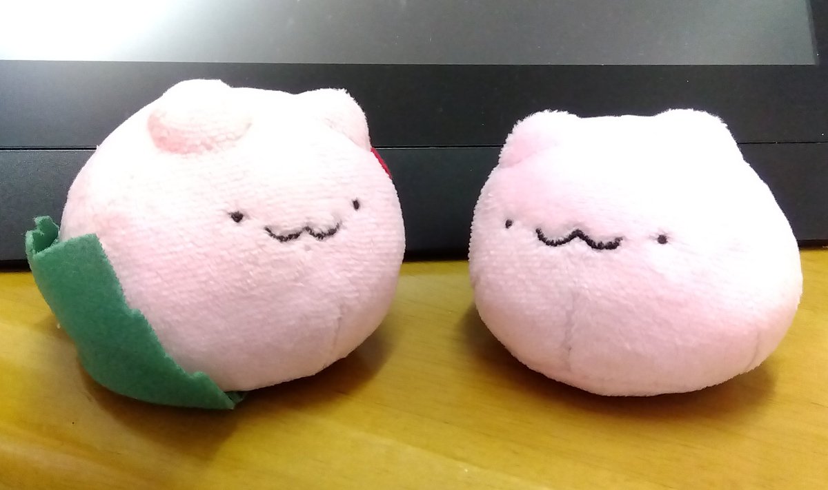 ume36's tweet photo. 元気です！最近はうめのみくんぬいを完成させたりしました　２〜３枚めは１代目の試作のみくんとお花と葉っぱをつける前のプレーンのみくんのツーショット　まるい https://t.co/qPuze8ykzJ