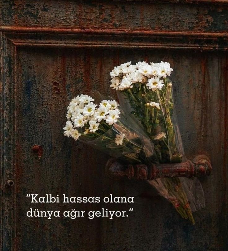 Bir gün var asra (@birgunvarasra) on Twitter photo 