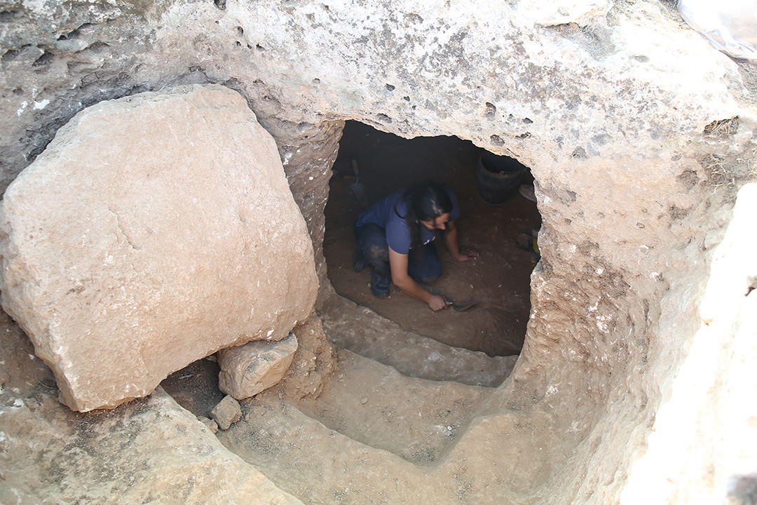 Şanlıurfa'daki Soğmatar Antik Kenti’nde yürütülen kazılarda 3 bin yıl öncesine tarihlenen kamusal yapı gün yüzüne çıkarıldı

🔷 Kamusal yapıda 7 oda tespit edildi; her bir odanın duvarının yüksekliğinin 2 metre kalınlığının ise 1 metre olduğu aktarıldı

🔷 Yapının Demir Çağı’na
