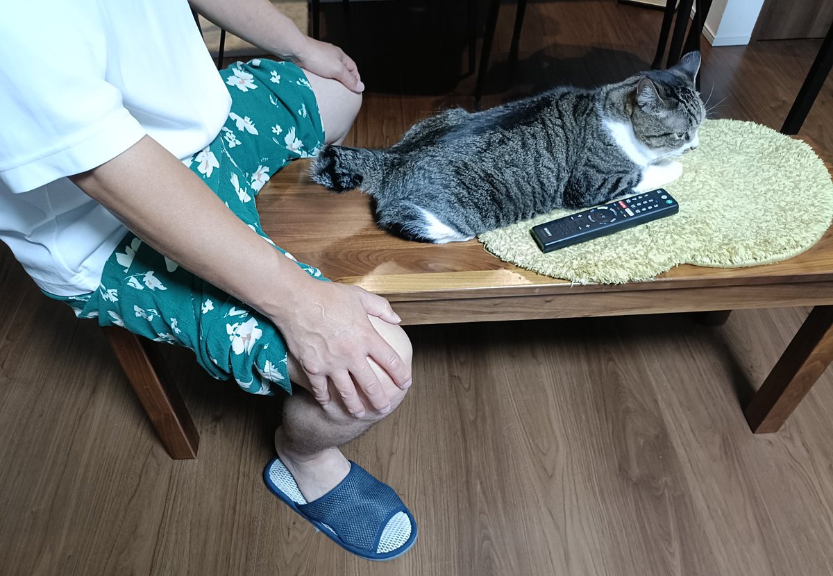 まめたろ まめたろ (@kuromametaro620) / Posts / X