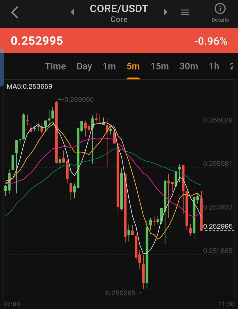 AlexTD24's tweet image. When other coins is rising $core by @coredao_org is bleeding and when other coins is bleeding $core is leading the charge, investing in #corechain is my worst investment so far! Nd $Core is weak chain and scam Project...