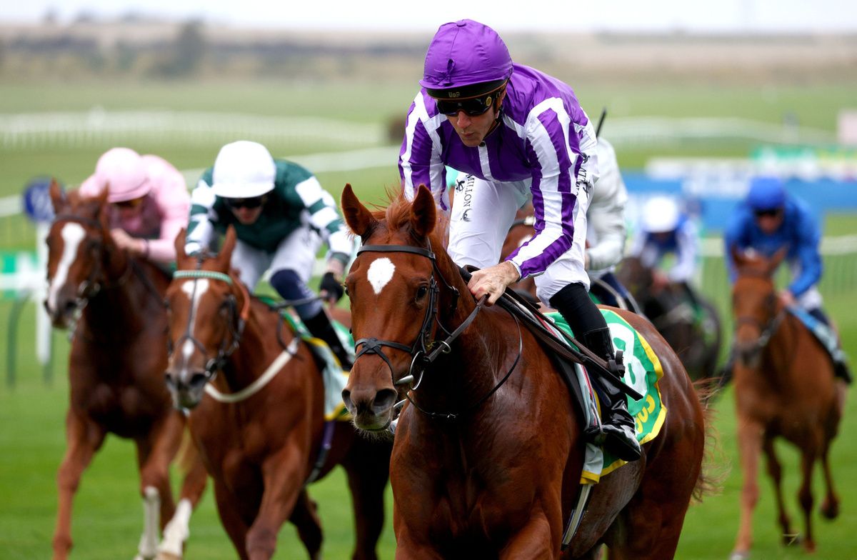 dailysp0rtsline's tweet image. Precise is a great filly, but is she Guineas favourite good? Find out why Aidan O&apos;Brien&apos;s Precise doesn&apos;t warrant being 7/2 Guineas favourite, and why the form isn&apos;t so strong: rhysj252.wixsite.com/dailysportslin… #Precise #HorseRacing #AidanOBrien #1000Guineas