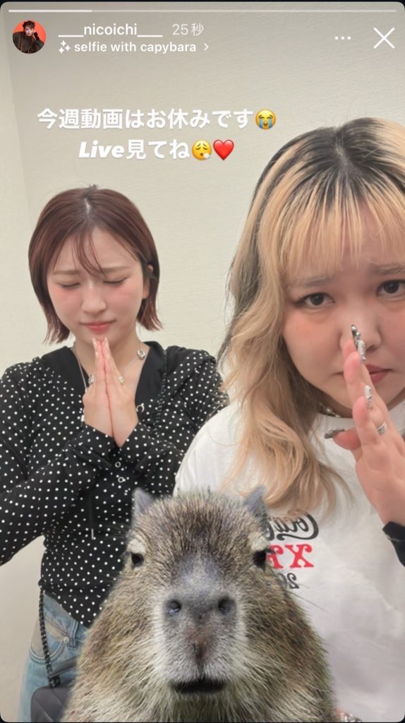 m_heifla_ao's tweet image. 大丈夫だよ〜ん👌🏻今日は配信お疲れ様！！2人にはゆっくり休んでほしい
同じ動画を何度も見るの好きなんだけどね最近たくさんアップしてくれるから！もう一回見るのが追いついてなかった‼️
#平成フラミンゴ #平成フラミンゴにこ #平成フラミンゴりほ @___nicoichi___ @RinrinFlamingo @HEIFLA_official