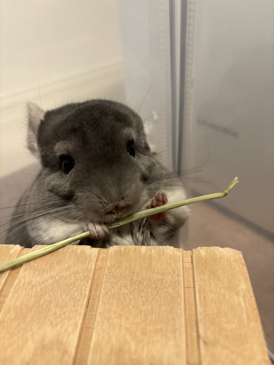 まめたろー日記