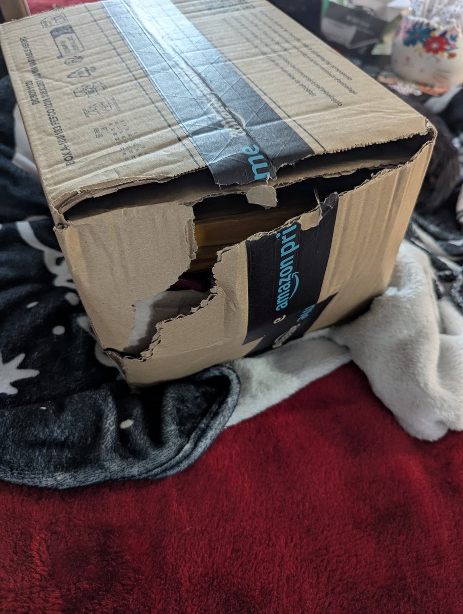 PunkRockMess tweet media