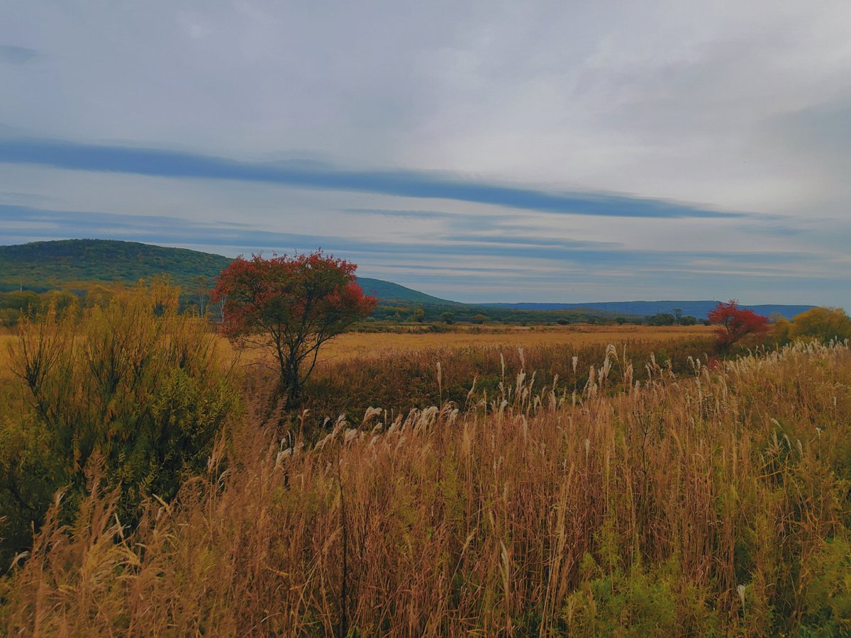 какая же невероятная любовь и радость вот это всё, господи