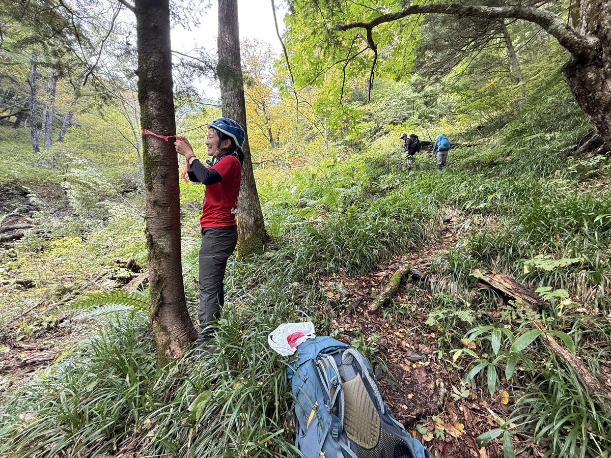 ハイカーたかくら (@takakura3twi) / Posts / X