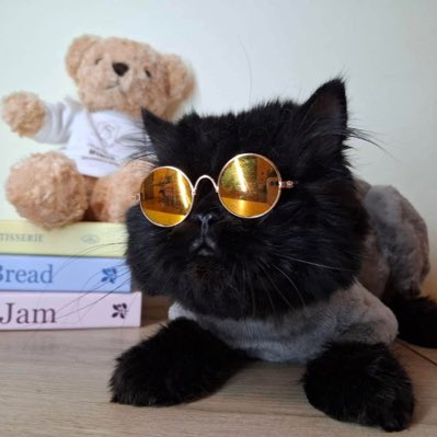 jackthebig88's tweet photo. #NewProfilePic https://t.co/Ubz1X4VdpE