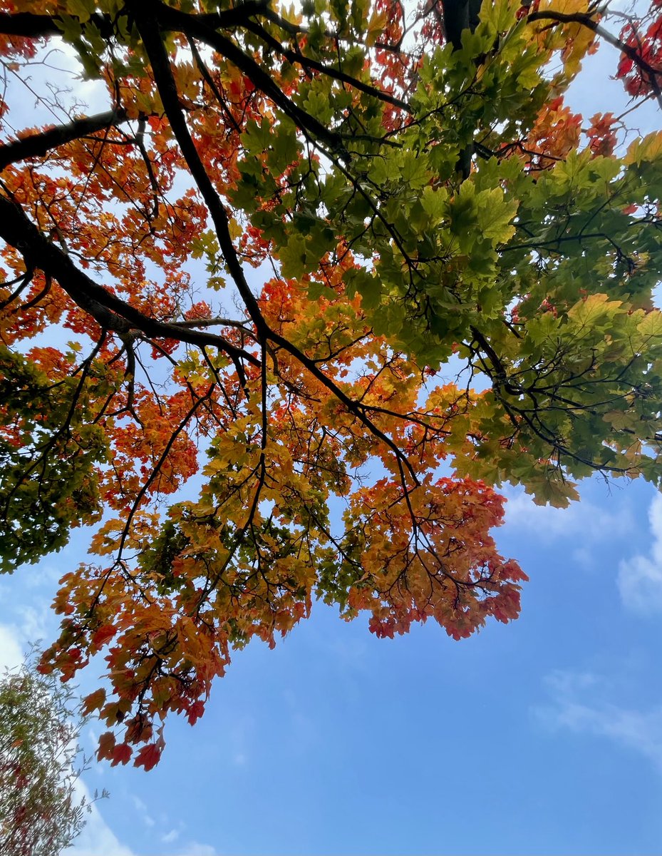 Der Sonntag leuchtet! 
😊☀️🍁🍂