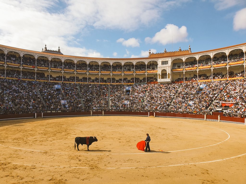 Samsa2111's tweet photo. Esta mañana en Las Ventas no se han parado los relojes, esta mañana los relojes han andado para atrás varias décadas y todos hemos sido por un rato, si no más jóvenes, un poco mejores viendo a Curro Vázquez, Frascuelo y César Rincón (qué manera de rematar por dentro los muletazos https://t.co/K3M4Z6AMzf