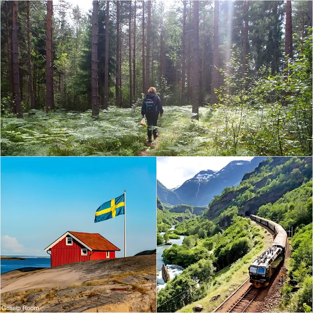 GossipRoomOff's tweet photo. 🚨 La Suède devient le premier pays où les médecins peuvent prescrire des voyages pour améliorer la santé et le bien-être !

Avec le programme "The Swedish Prescription", les professionnels de santé peuvent recommander des activités comme des balades en forêt, sauna, bains froids, immersion culturelle ou temps en nature. Ces expériences, soutenues par des études scientifiques, visent à améliorer la santé mentale et physique. 

Le voyage est ainsi reconnu comme un outil de prévention et de mieux-être, invitant à découvrir les paysages et traditions suédoises. 🇸🇪✨ (via Europexplores)